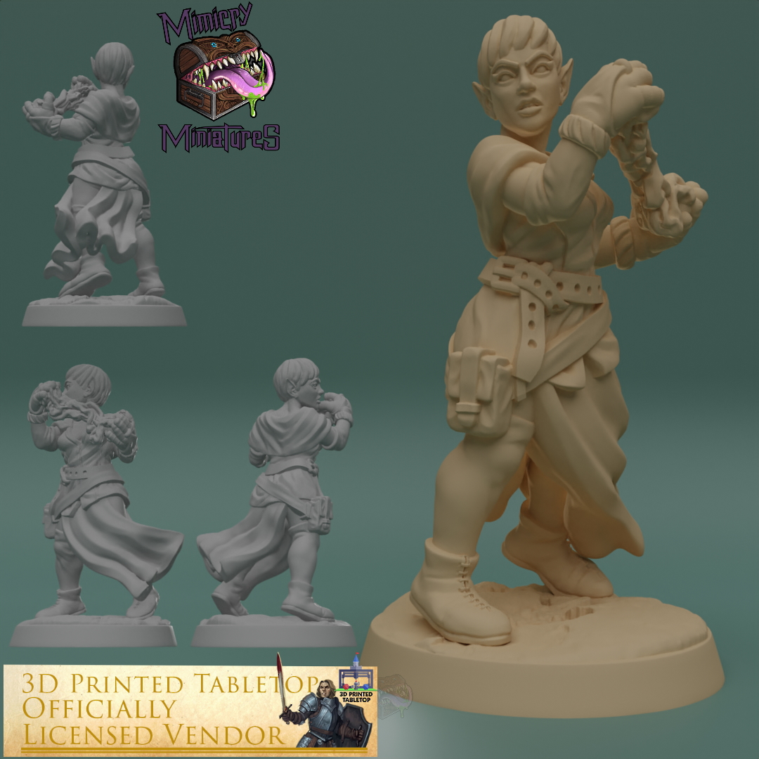 Adventurer Group 1 - The Lost Adventures from 3D Printed Tabletop image 2